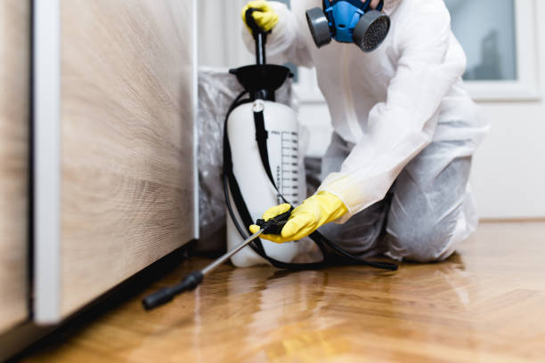 Best Commercial Pest Control Services  in Glassmanor, MD