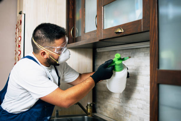 Best Affordable Pest Control Services  in Glassmanor, MD
