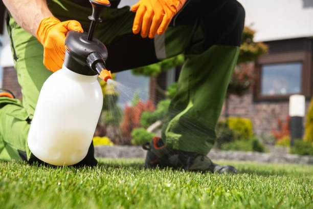 Pest Prevention Services in Glassmanor, MD
