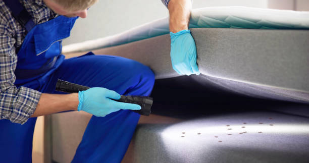 Best Wasp Removal Services  in Glassmanor, MD