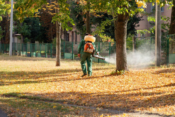 Pest Control for Restaurants in Glassmanor, MD