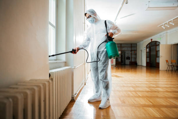 Best Cockroach Control Services  in Glassmanor, MD