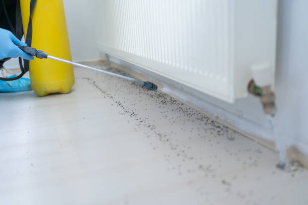  Glassmanor, MD Pest Control Pros
